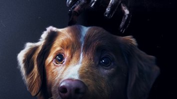 Рецензия и отзывы на фильм «Глазами пса»